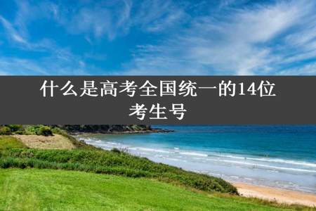 什么是高考全国统一的14位考生号