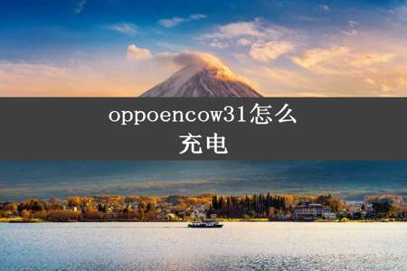 oppoencow31怎么充电