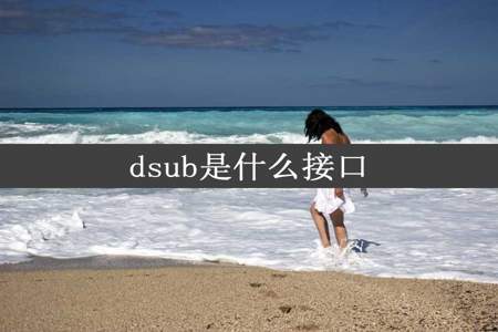 dsub是什么接口