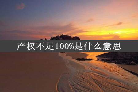 产权不足100%是什么意思