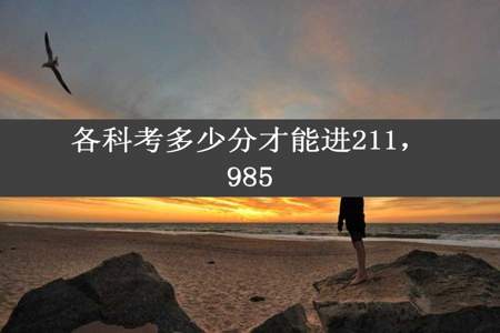 各科考多少分才能进211，985