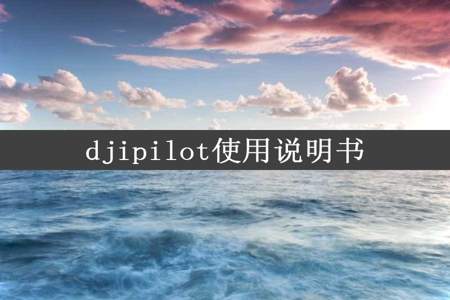 djipilot使用说明书