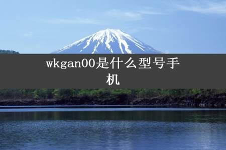 wkgan00是什么型号手机