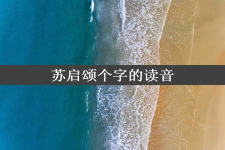 苏启颂个字的读音