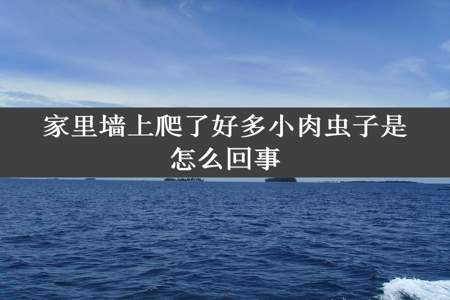 家里墙上爬了好多小肉虫子是怎么回事