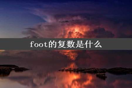 foot的复数是什么