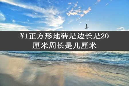 ¥1正方形地砖是边长是20厘米周长是几厘米