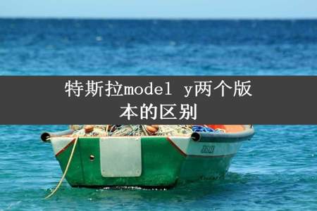 特斯拉model y两个版本的区别