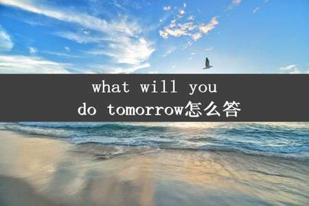 what will you do tomorrow怎么答