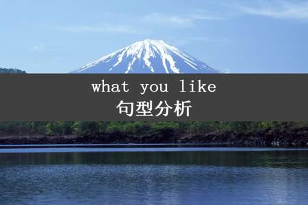 what you like句型分析