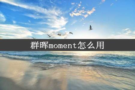 群晖moment怎么用