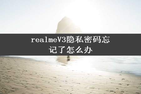 realmeV3隐私密码忘记了怎么办