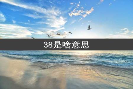 38是啥意思