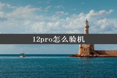 12pro怎么验机