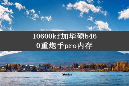 10600kf加华硕b460重炮手pro内存