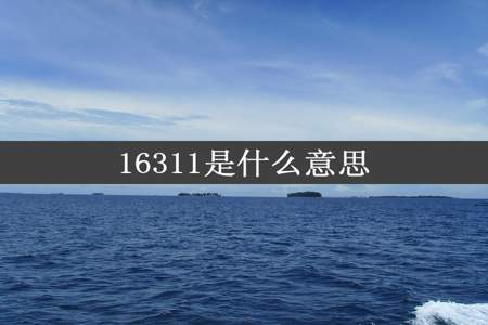 16311是什么意思