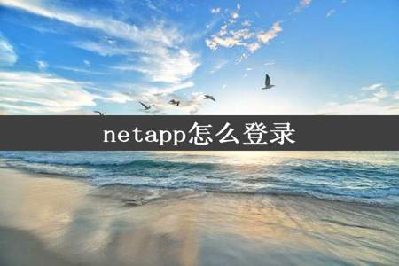 netapp怎么登录