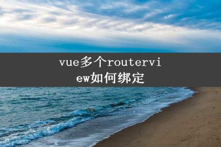 vue多个routerview如何绑定