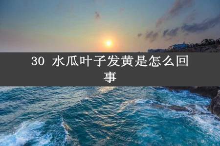 30 水瓜叶子发黄是怎么回事