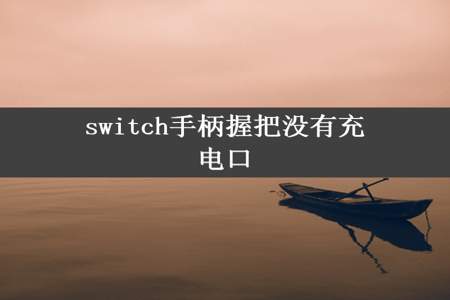 switch手柄握把没有充电口