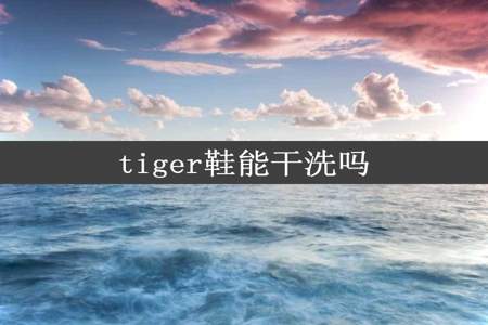 tiger鞋能干洗吗