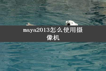 maya2013怎么使用摄像机