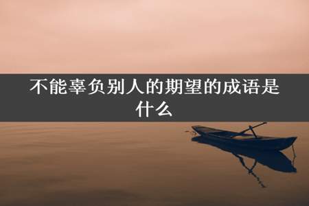 不能辜负别人的期望的成语是什么