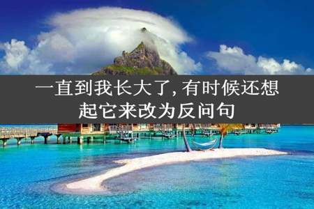 一直到我长大了,有时候还想起它来改为反问句