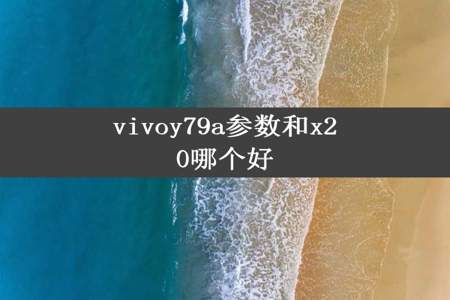 vivoy79a参数和x20哪个好