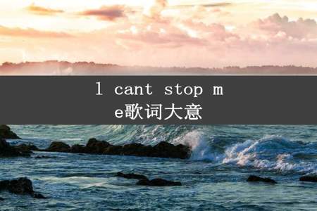 l cant stop me歌词大意