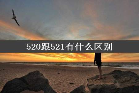 520跟521有什么区别