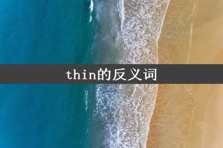 thin的反义词