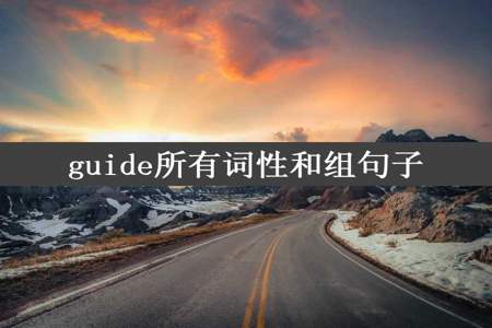 guide所有词性和组句子