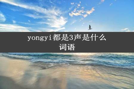 yongyi都是3声是什么词语