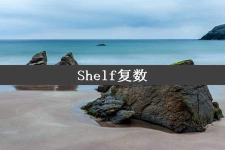 Shelf复数