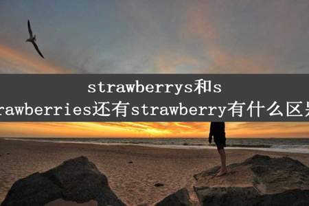 strawberrys和strawberries还有strawberry有什么区别