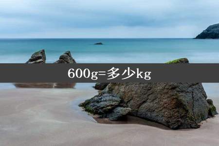 600g=多少kg