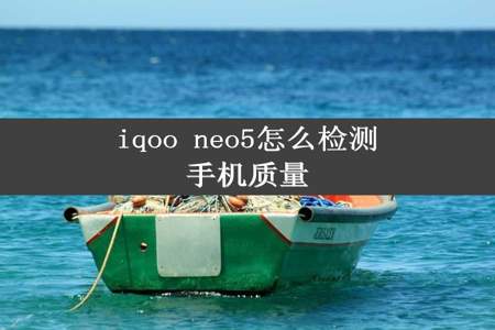 iqoo neo5怎么检测手机质量