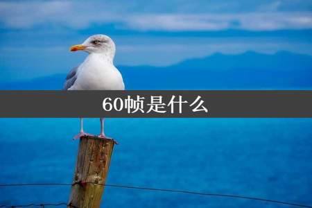 60帧是什么