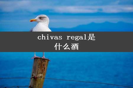 chivas regal是什么酒