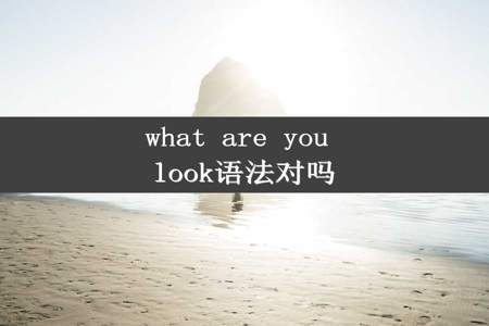 what are you look语法对吗