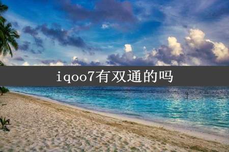 iqoo7有双通的吗