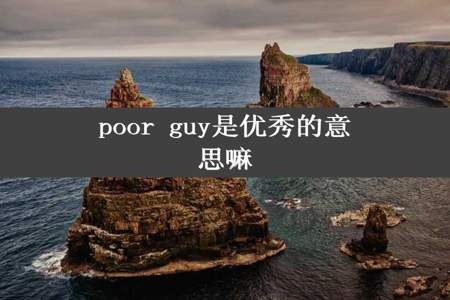 poor guy是优秀的意思嘛