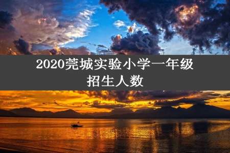 2020莞城实验小学一年级招生人数