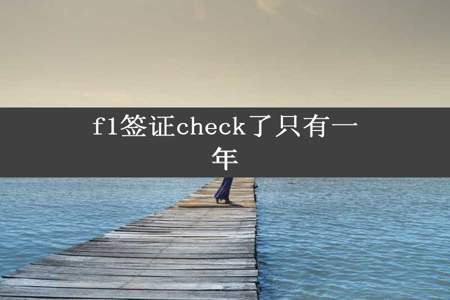 f1签证check了只有一年