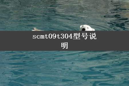 scmt09t304型号说明