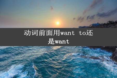 动词前面用want to还是want