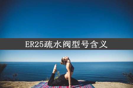 ER25疏水阀型号含义