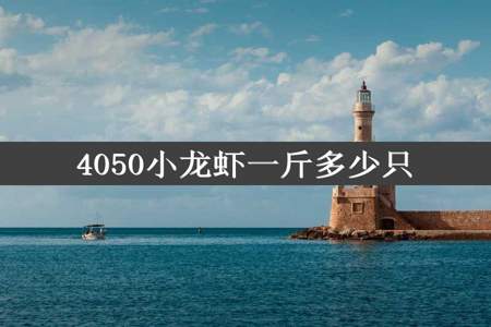 4050小龙虾一斤多少只