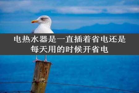 电热水器是一直插着省电还是每天用的时候开省电